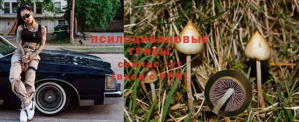 стафф Баксан