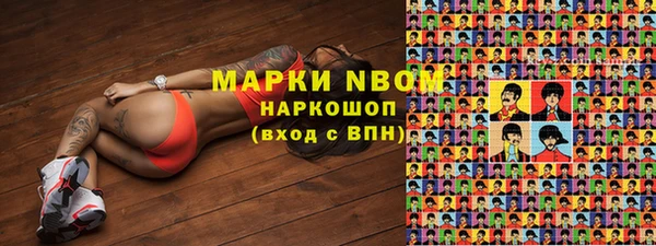 стафф Баксан