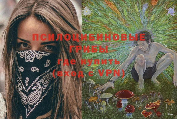 дживик Балахна