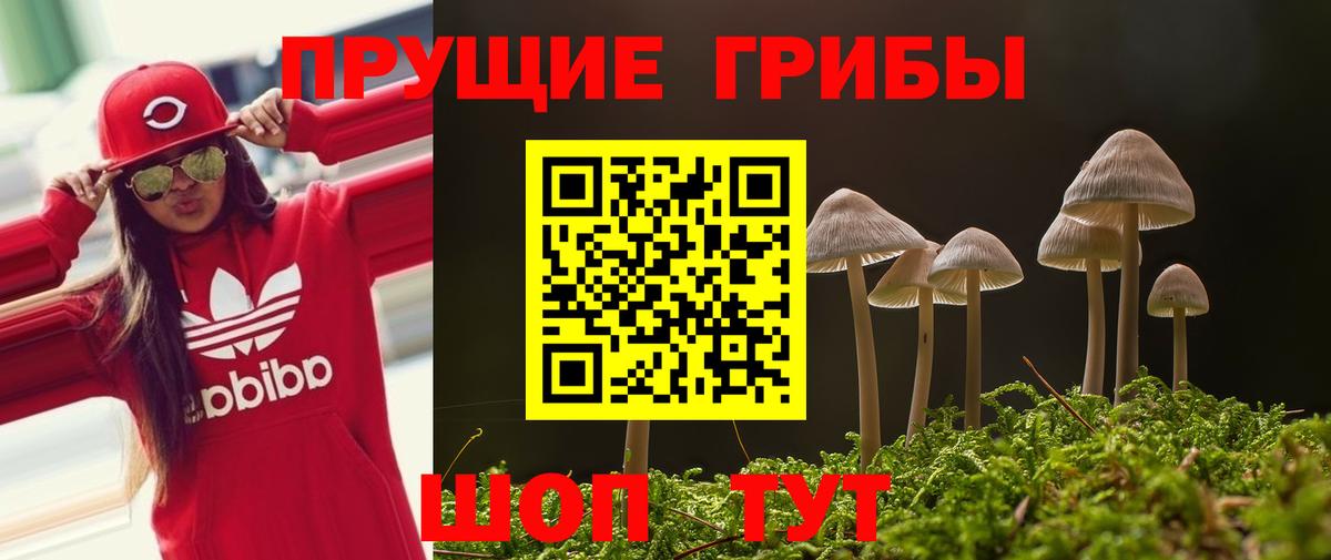 наркота  Галлюциногенные грибы мухоморы  Вход с VPN  Ульяновск 